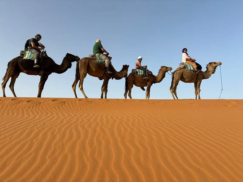 premium desert safari dubai