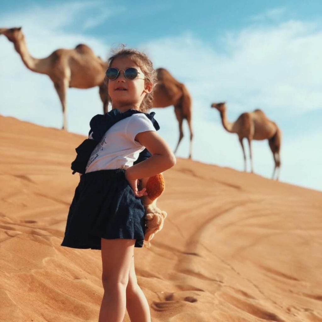 premium desert safari dubai