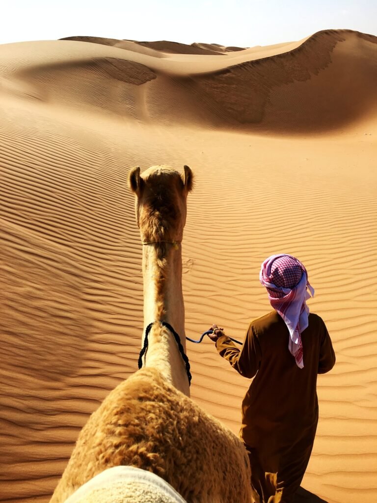 desert safari dubai