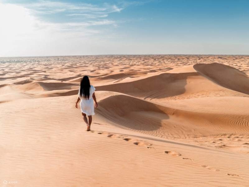premium desert safari dubai