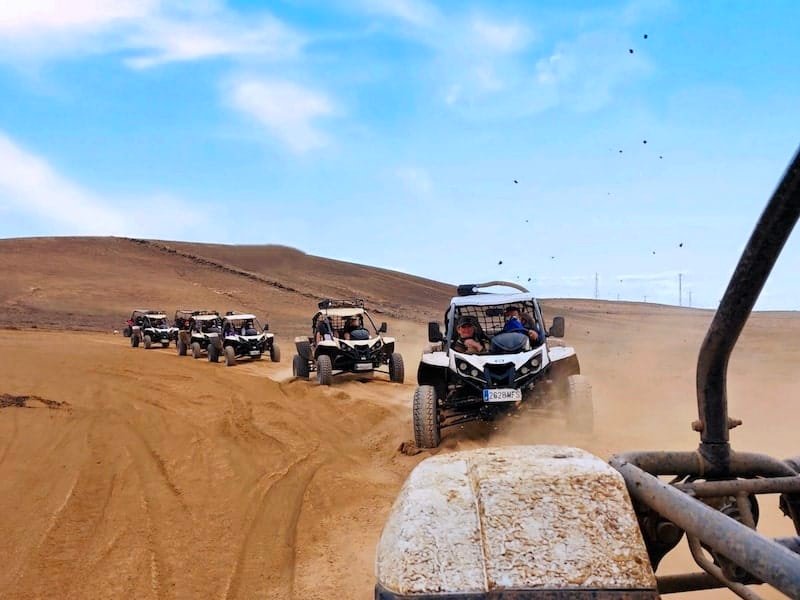 morning desert safari dubai