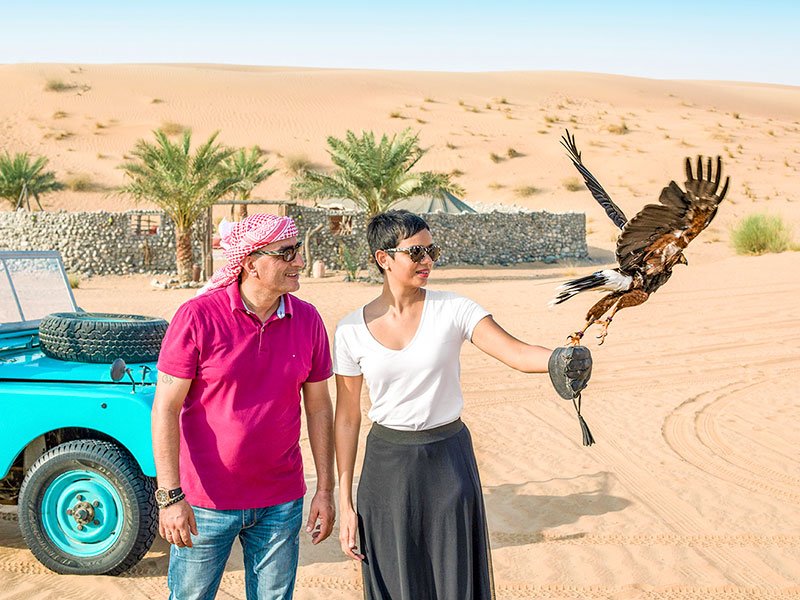 premium desert safari dubai