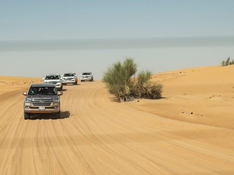 morning desert safari dubai