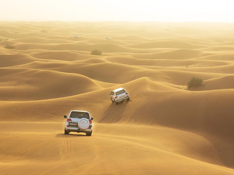 morning desert safari dubai