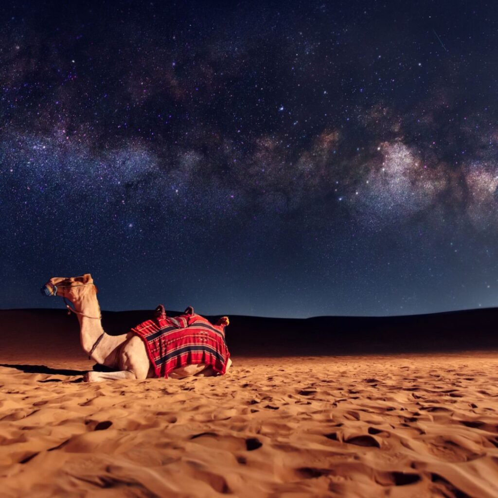 overnight desert safari dubai
