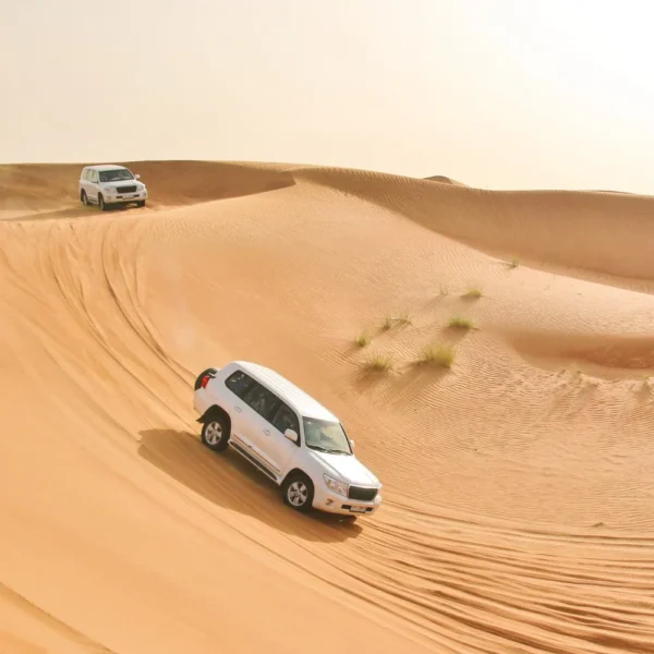 premium desert safari dubai