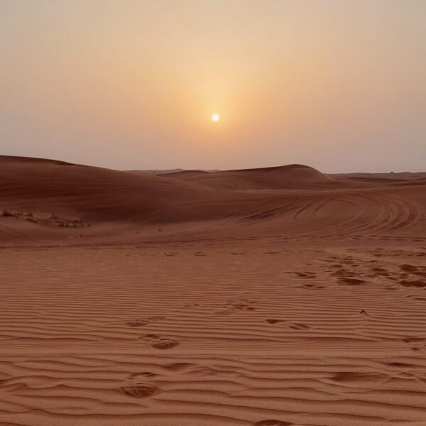 evening desert safari dubai